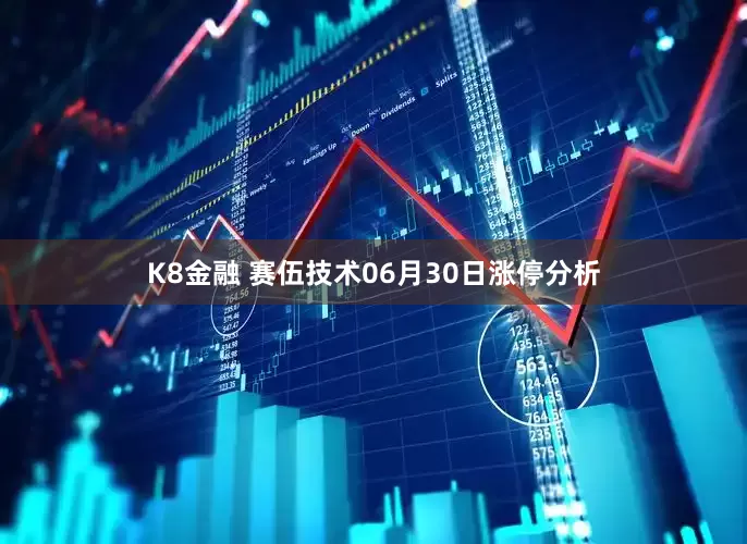 K8金融 赛伍技术06月30日涨停分析